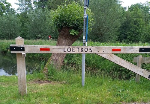 Loetbos bord