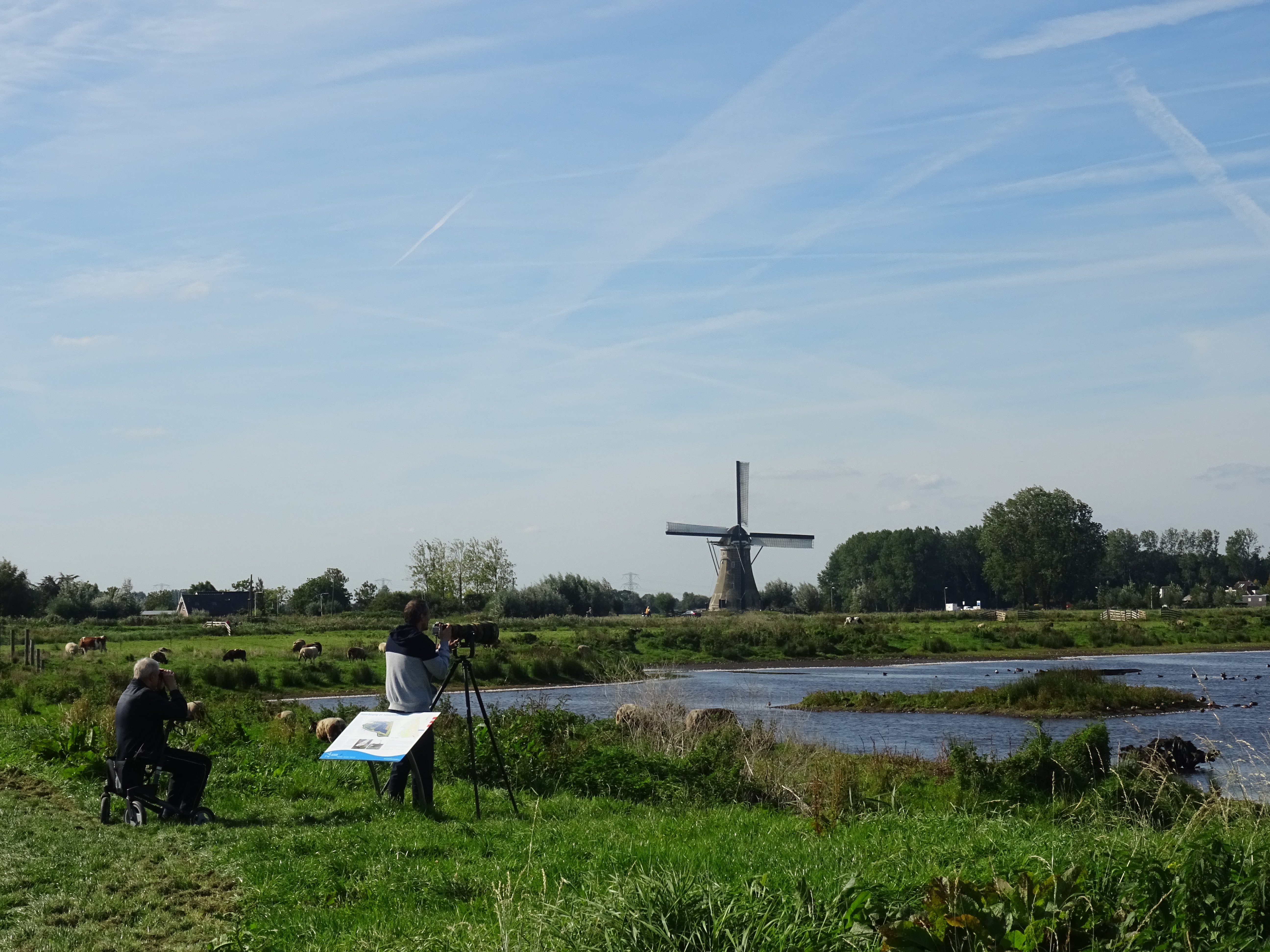 Vogelaars_Hooge_Boezem