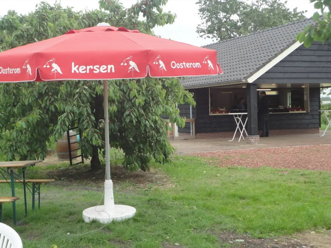 Kersenboomgaard_De_Themaat_b