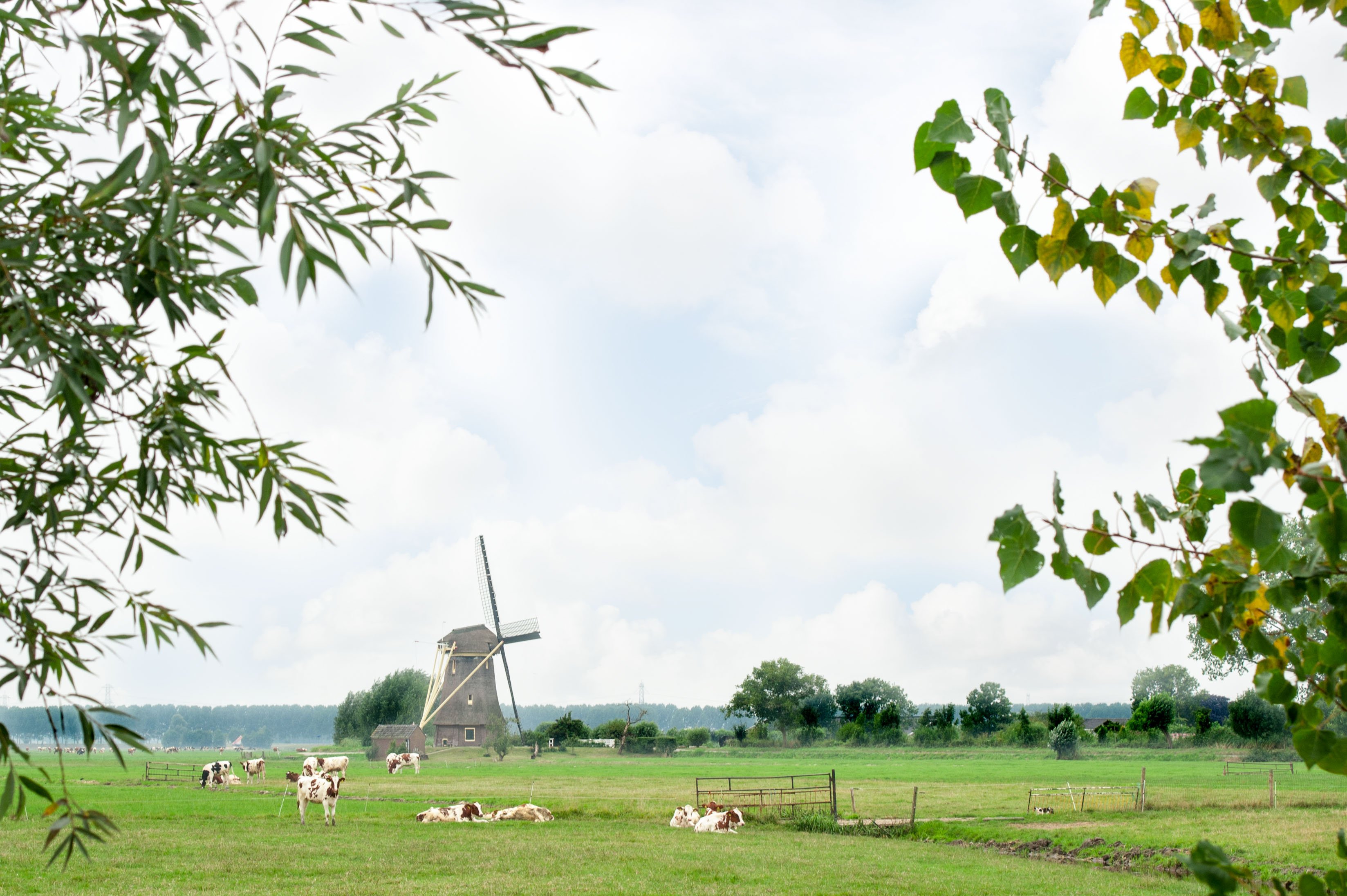 De_Willigen_Logies_a