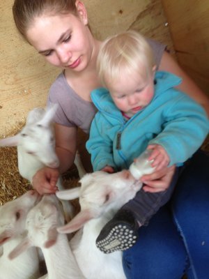 Geertjes_Hoeve_c_kind_lammetje