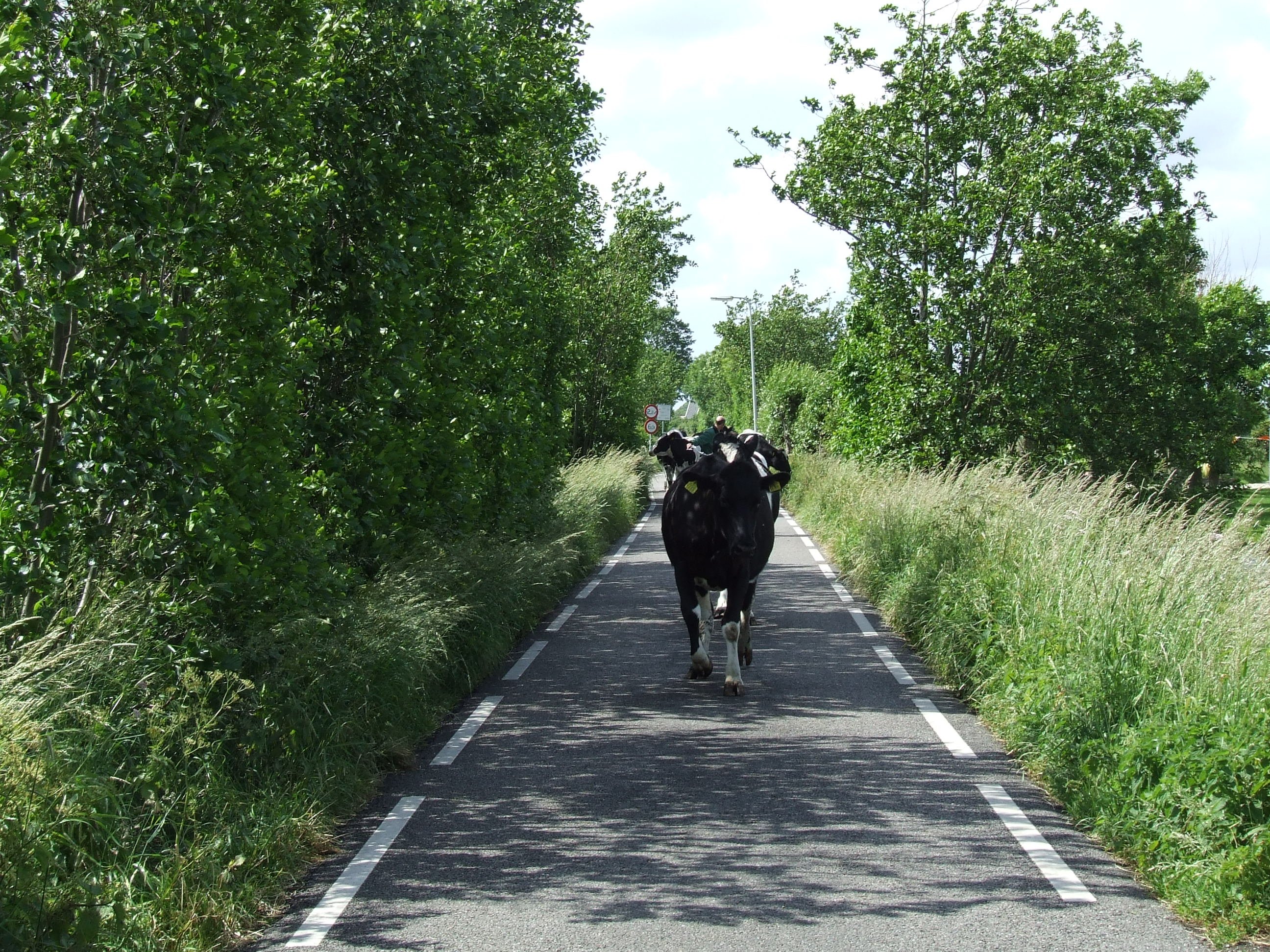 Natuurboerderij Hoeve Stein.g