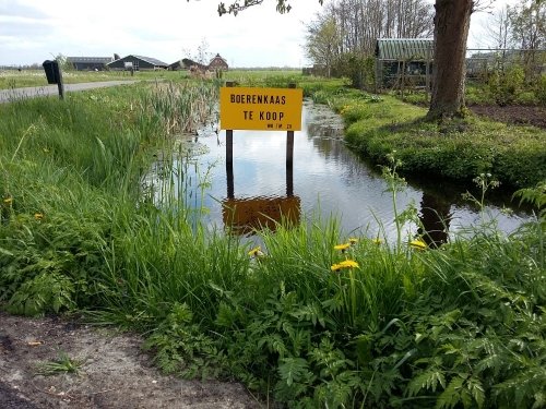 Kaasboerderij_Conny_Vroege_a