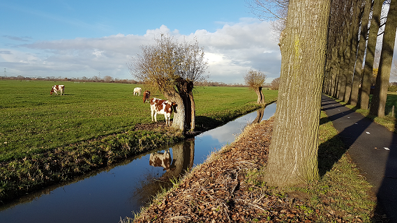 Boerderij_Hazenveld_h