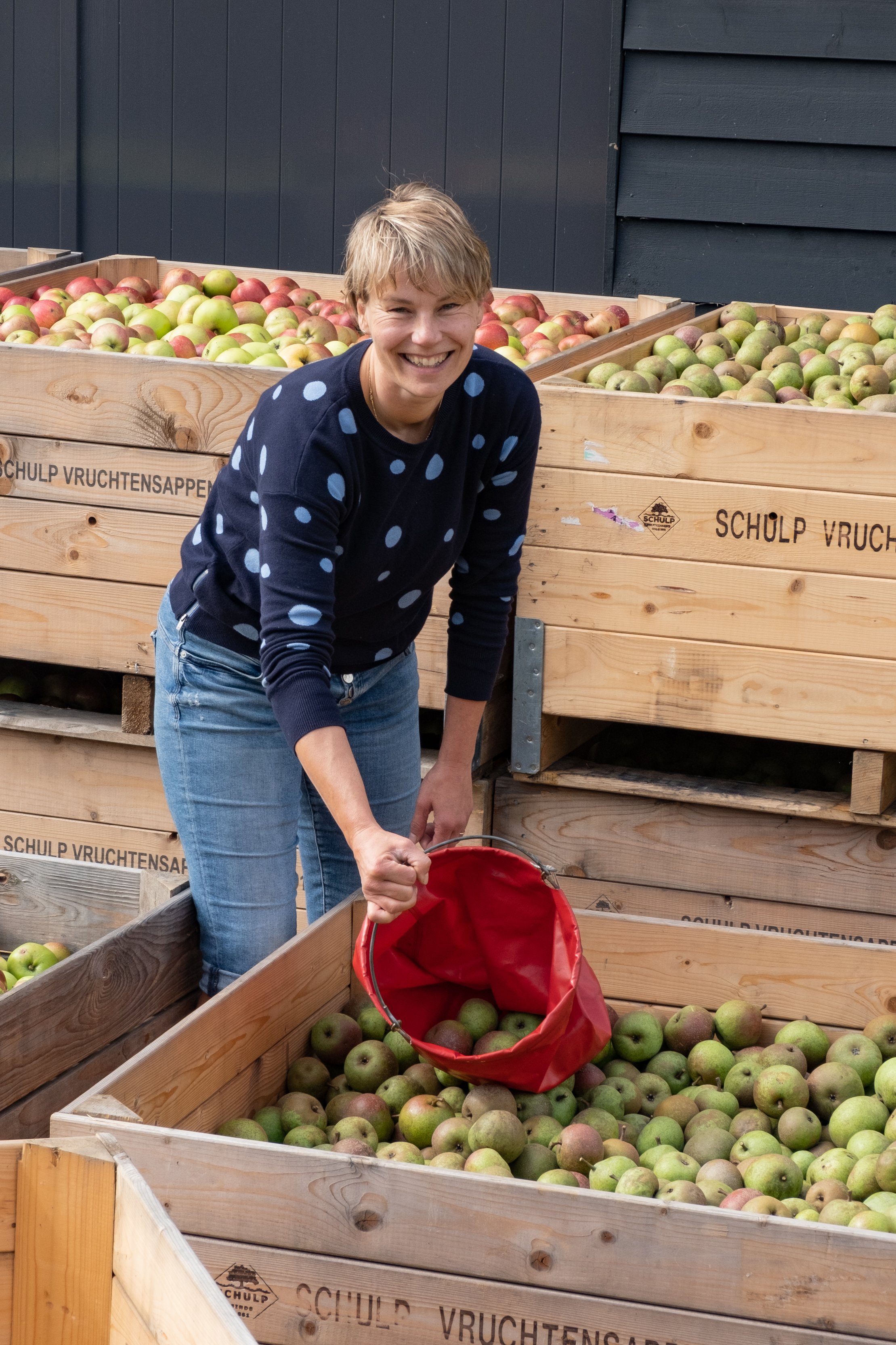 Boomgaard_De_Lekbongerd_d