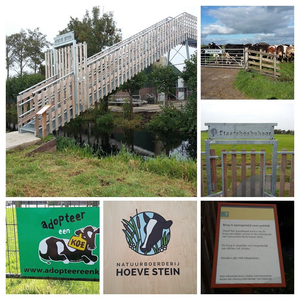 Natuurboerderij_Hoeve_Stein_f