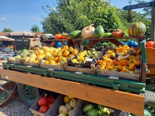 Natuurmuseum_en_Klompenwinkel_De_Wielewaal_f