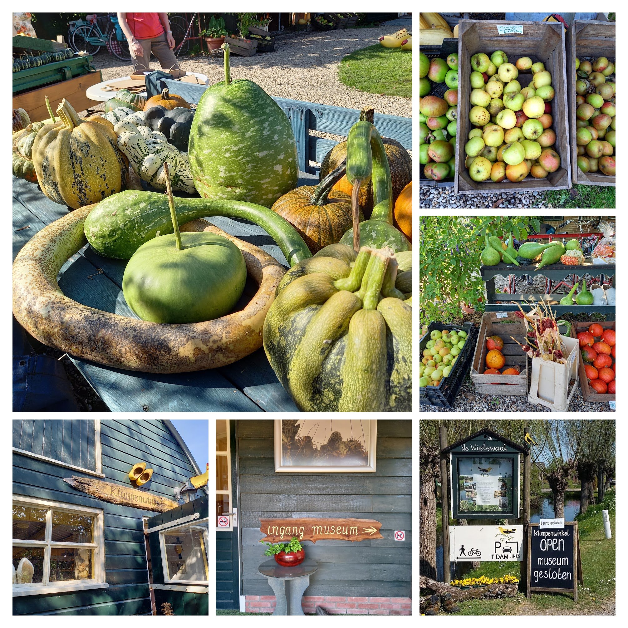 Natuurmuseum_en_Klompenwinkel_De_Wielewaal_a