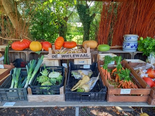 Natuurmuseum_en_Klompenwinkel_De_Wielewaal.d