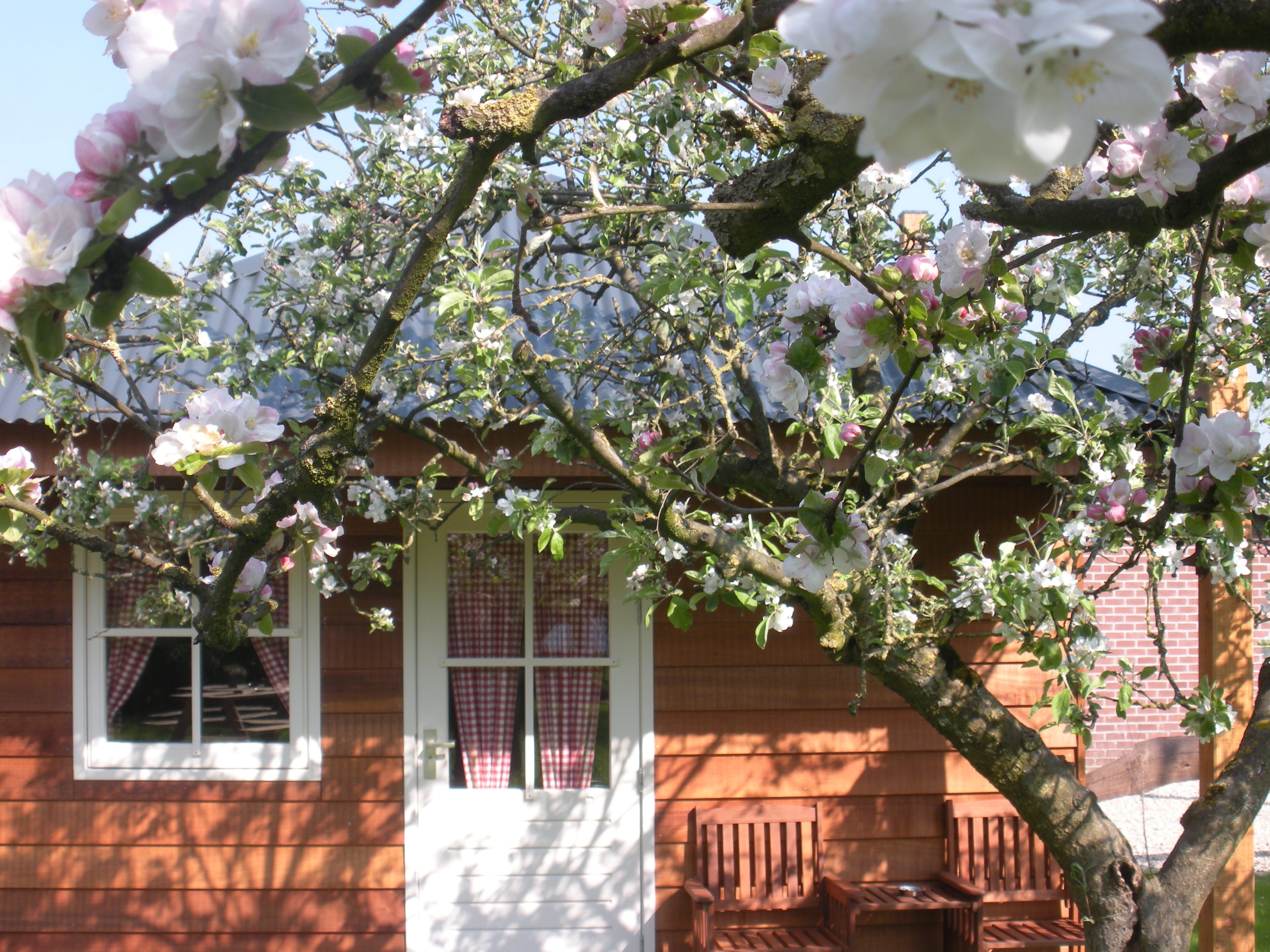 Boerderij_Kromwijk_j