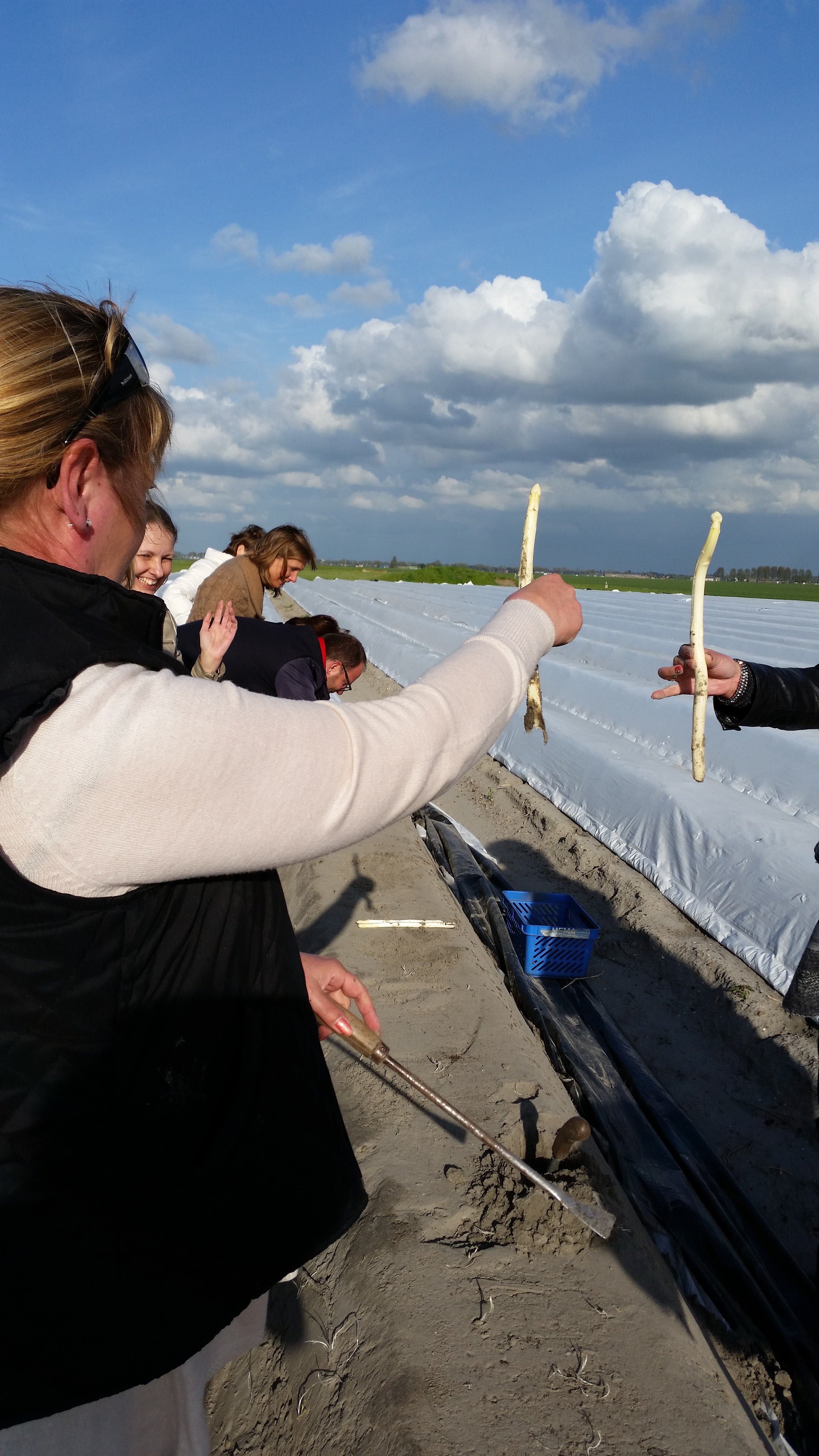 Aspergehof_Noordam_f