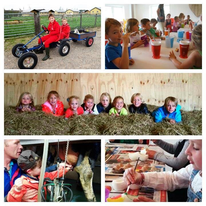 Stolkse_Weide_c_kids_boerderij