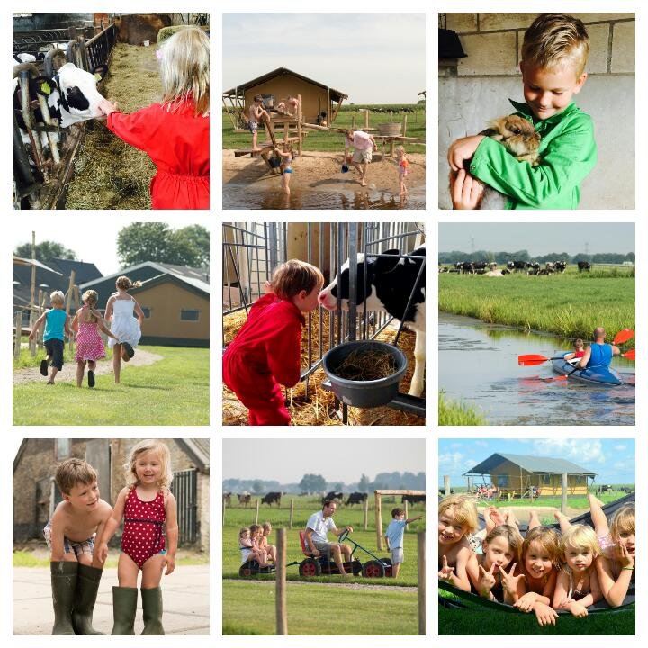 Stolkse_Weide_g_kind_spelen_dieren