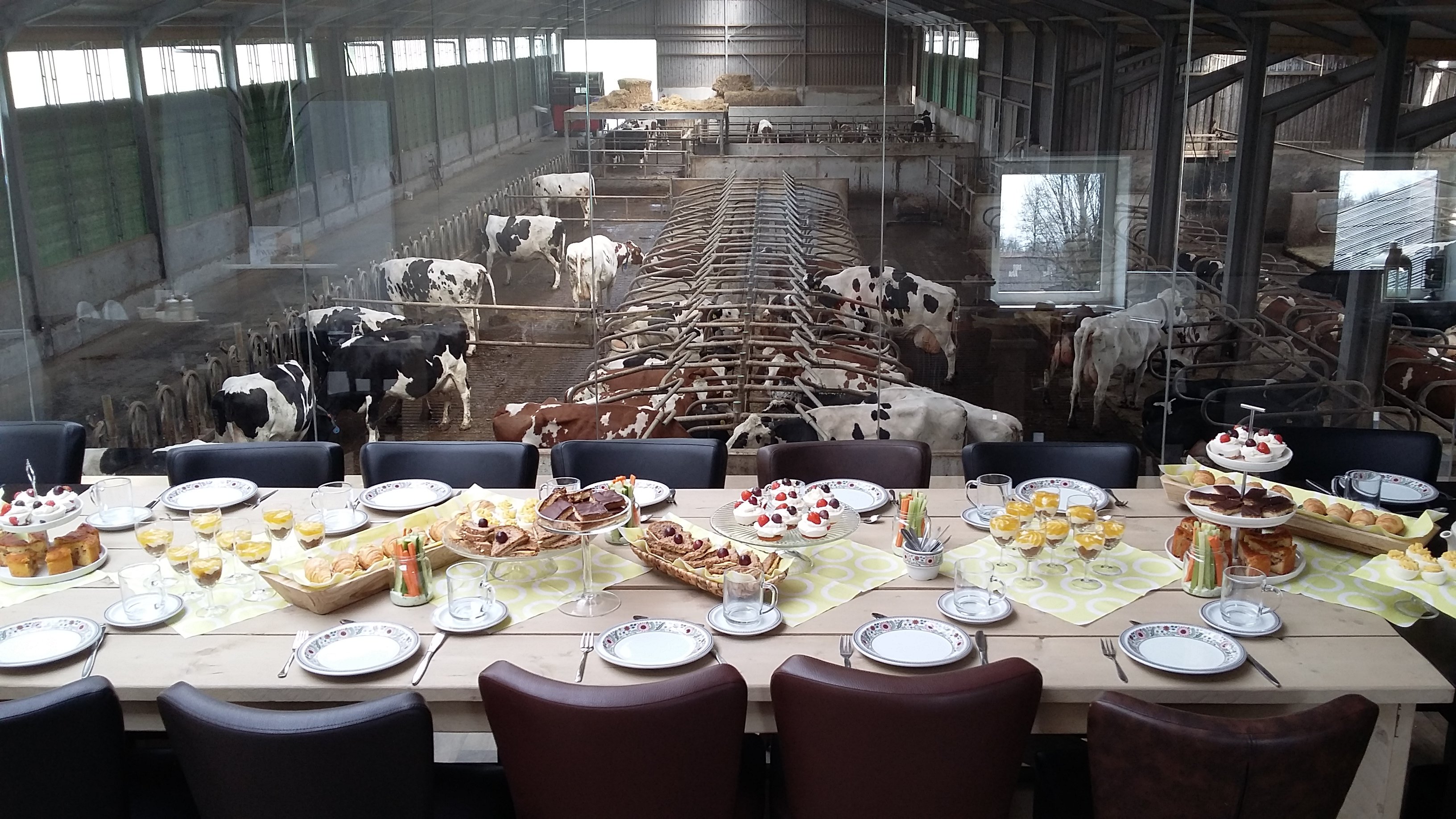 De_Witte_Gravin_g_kooeien