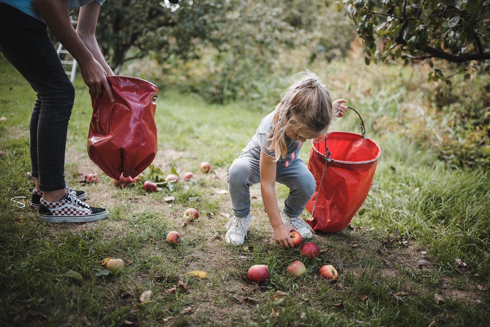 Boomgaard_De_Lekbongerd_f_kind_appelsrapen