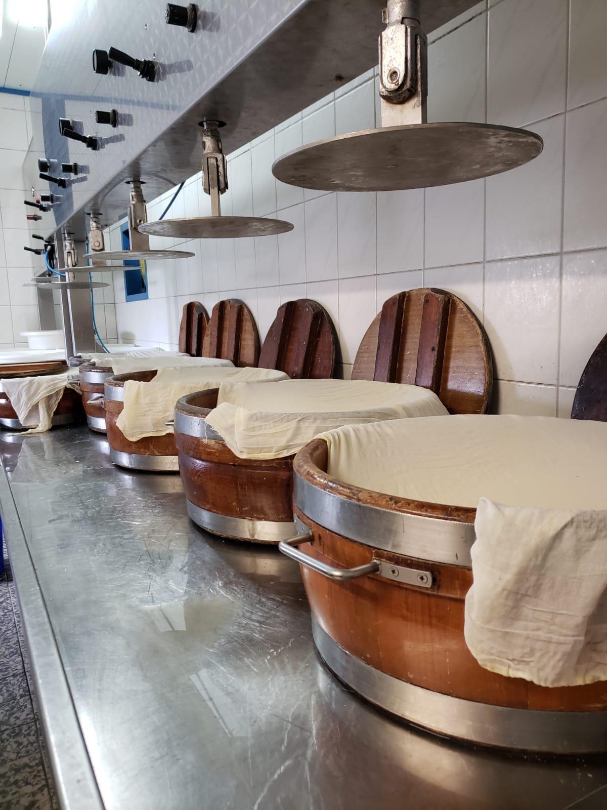 Brentano's_Kaasboerderij_e_kaas