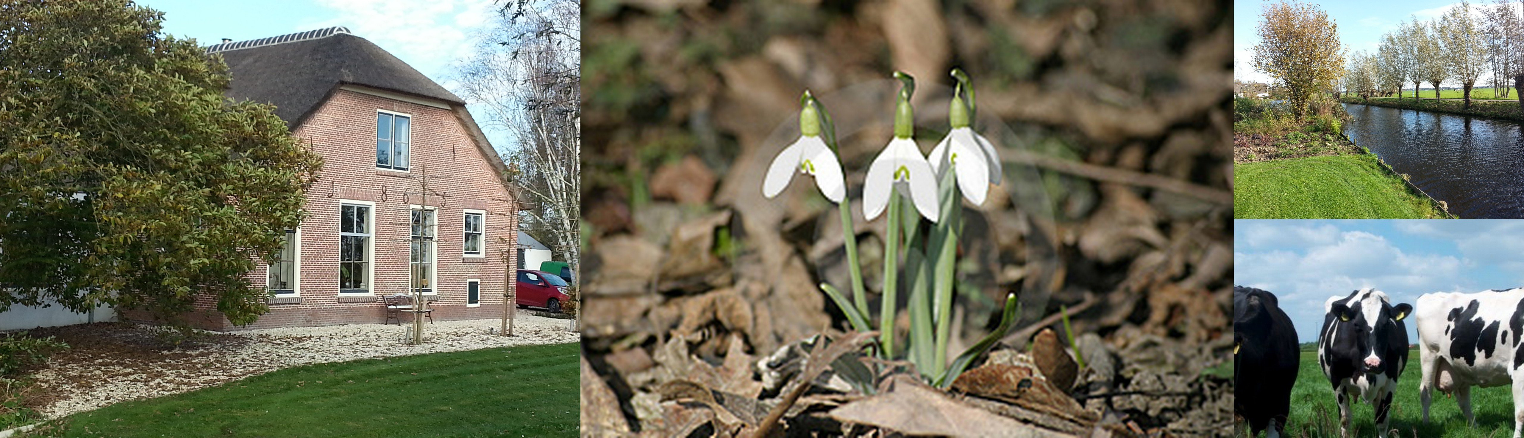 Zorgboerderij_de_hoop_c
