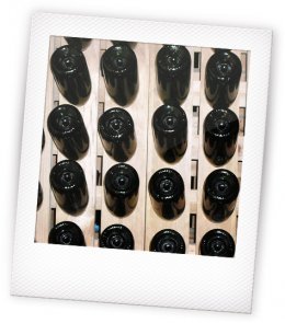 Proeven_in_dePolder_b